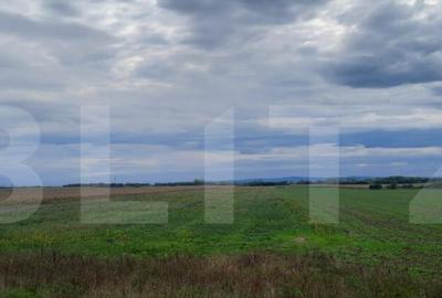 Teren extravilan de vanzare, 21.750 mp, Satu Mare - 2