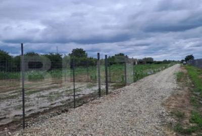 Teren de 2400 mp, în Careiului - 3