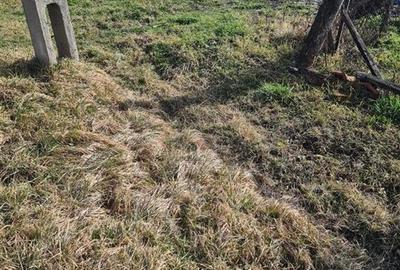 RECO Casa in Ungaria cu teren generos - 2