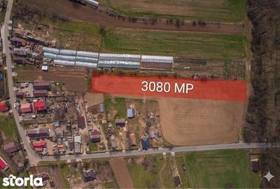 Teren de 3083 mp, în Gruiu - 7
