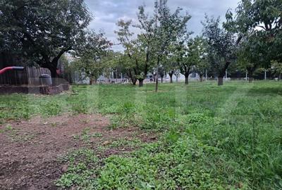 Teren de 1520 mp, în Păulești