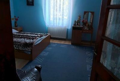 Casă individuală cu 5 camere cu Teren 5000 Mp în Comloșu Mic - 7