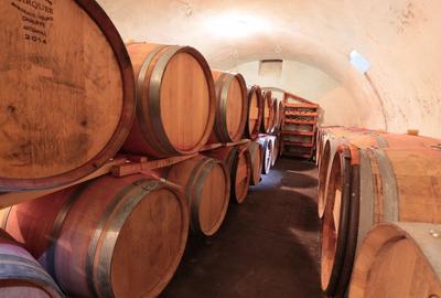 Casă individuală cu 6 camere cu Canalizare în Miniș - 45