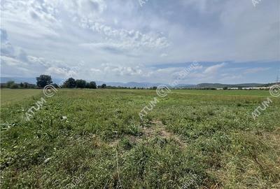 Teren intravilan de 8600 mp cu deschidere la doua drumuri in Cristian - 2