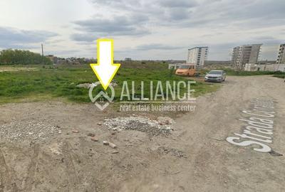 Teren Construcții intravilan de 4621 mp, în Est - 3