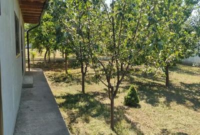 Casă cu Teren 1233 Mp în Odaia Manolache - 6