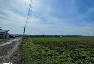 Spațiu comercial, în Valu lui Traian - 3