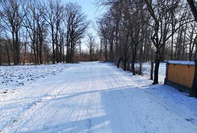 Vand casa Dulcesti Neamt - 3