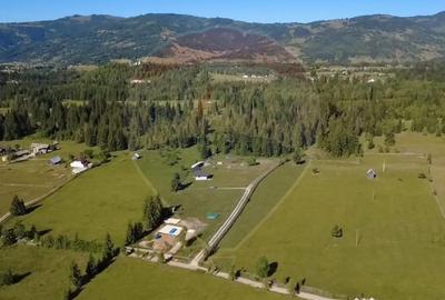 Teren de 9685 mp, în Neagra - 3