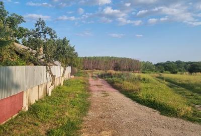 Se vinde teren 4200 mp in Teisori Giurgiu - 11