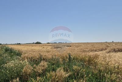 Teren de vanzare in apropiere de A0 - investitie si dezvoltare - 6