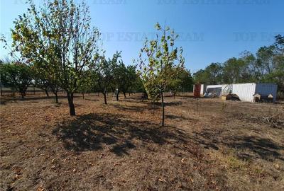 Teren intravilan agricol si teren curti constructii Lot 2 Parcela A326/49 Teren intravilan agricol si teren curti constructii Lot 2 Parcela A326/49 - 12