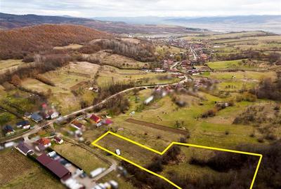 Teren intravilan de 7465 mp, în Peștiș - 5