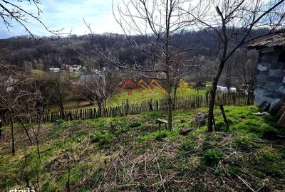 Casă cu 2 camere nedecomandat în Poiana - 3