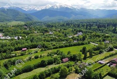 Teren intravilan 4100 mp in Avrig zona Valea Avrigului - 7