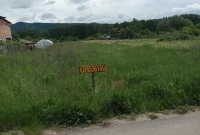 Teren de 3055 mp, în Bujoreni