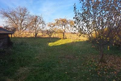 Casă cu 2 camere cu Teren 4300 Mp în Capu Câmpului - 1