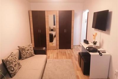 NOU Prima Inchiriere Garsoniera Spatioasa Iulius Mall Aradului - 9