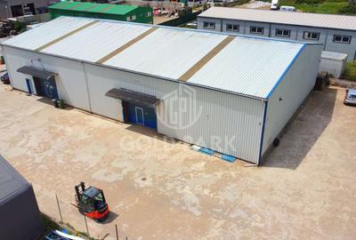 Sp. Industrial-Zona Iris-820 mp Hala+120 mp Birouri+Teren 2000 mp - 3