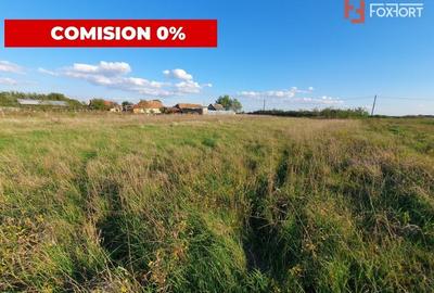 Comision 0% Teren intravilan de 3346 mp cu 2 fronturi - Jebel - 6