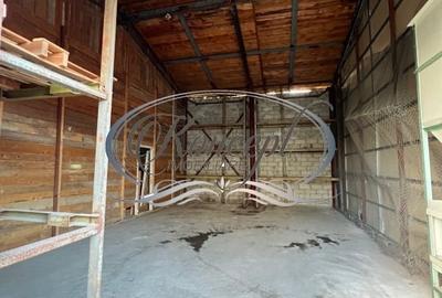 Hala pentru depozitare sau productie usoara - 2