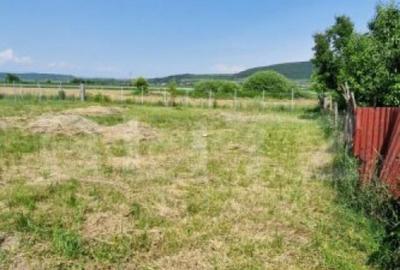 Casa parter, 120 mp, teren 1000 mp, la 25 km de orasul Bistr - 2