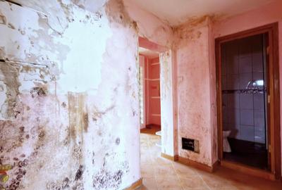 Apartament cu 3 camere decomandat în Doamna Ghica - 18