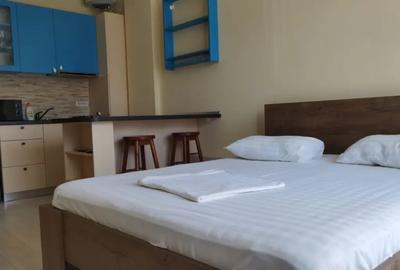 Garsonieră decomandată în Nord - 5