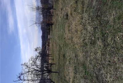 Casă în Frătești - 1