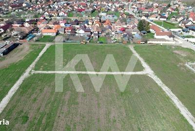 Spațiu comercial, în Hălchiu - 14