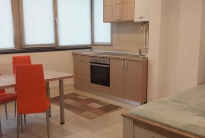 Apartament cu 1 camera, zona Tatarasi sud - 7