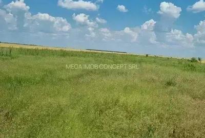 Teren de 428.99 mp, în Brănești - 5