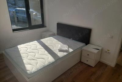 Apartament cu 2 camere decomandat în Dezmir - 5