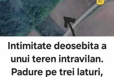 Teren de 1704 mp, în Sicrita - 5
