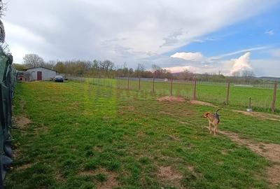 Teren cu constructie de vanzare in Urleta - 7