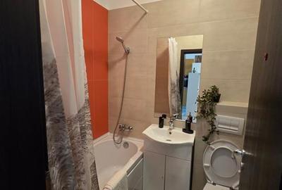 Apartament cu 2 camere semidecomandat, mobilat în Podu Roș - 9