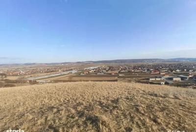 Teren de 4633 mp, în Curteni - 1