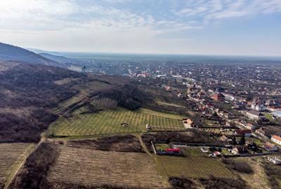 Teren intravilan in ?iria pe deal - 3