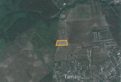 Teren Ostratu-Tamasi // OPORTUNITATE INVESTITII Teren Ostratu-Tamasi // OPORTUNITATE INVESTITII - 17