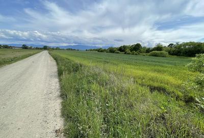 Spațiu comercial, în Hurez - 5