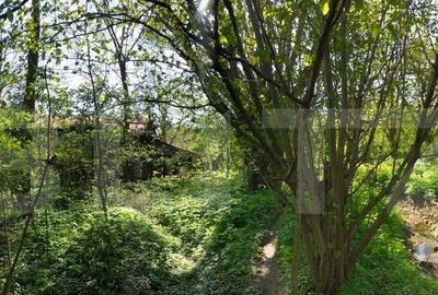 Rate la proprietar Casa individuala 75 mp, teren 1600mp , V - 4