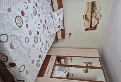 Apartament cu 4 camere decomandat în Banat - 3