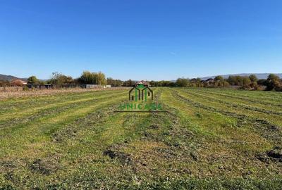 Teren intravilan/Str Balciului/Copacelu - 4