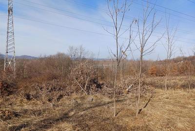 Teren de 17265 mp, în Marginea - 5