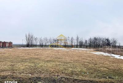 Teren de 900 mp, în Săucești - 5