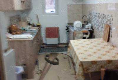 Vand casa sat Dragu, com Dragu, jud Salaj - 6