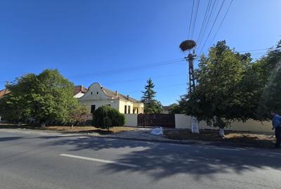 Casă individuală cu 3 camere cu Canalizare în Cenad - 2