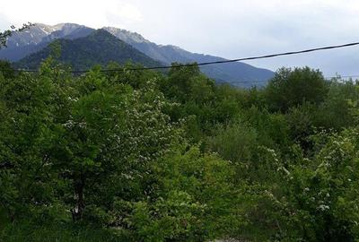 Teren de 10500 mp, în Central