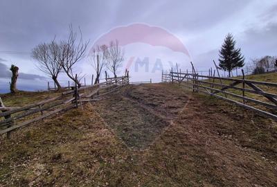 Comision 0 %/ Teren extravilan 13,570mp Pestera / Priveliste Manastire - 7