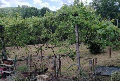 Casă cu 2 camere cu Teren 720 Mp în Bădeni - 1